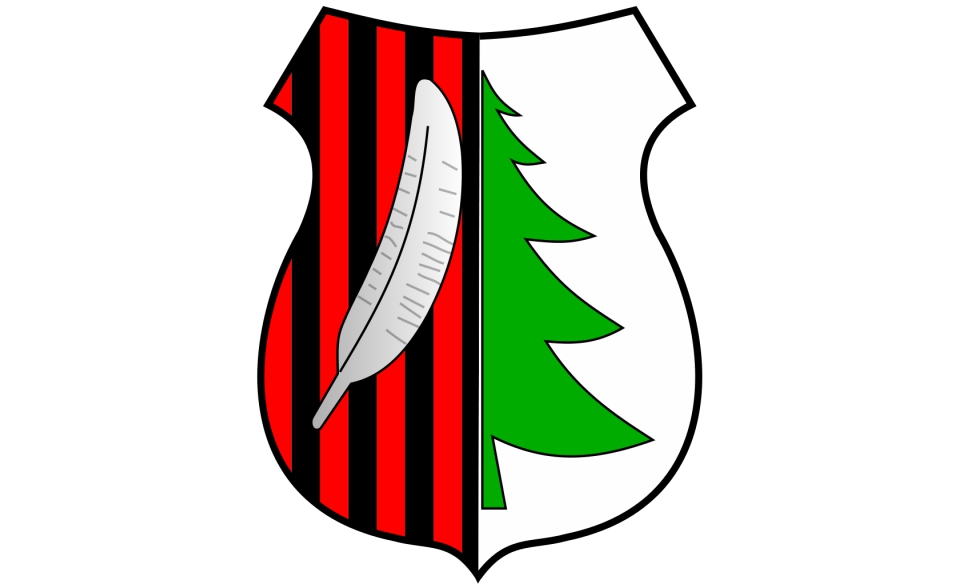 gmina-strawczyn.jpg