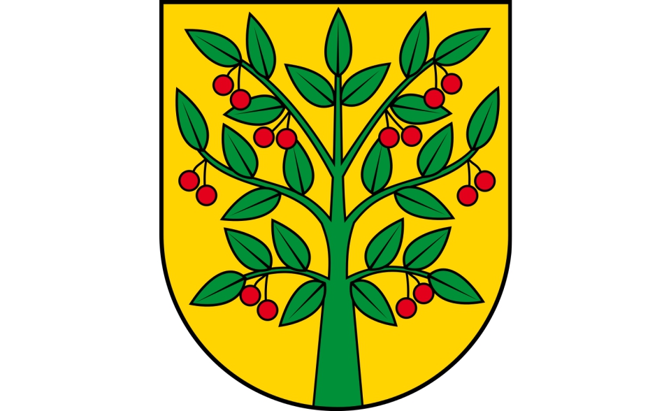 gmina-wisniew.jpg